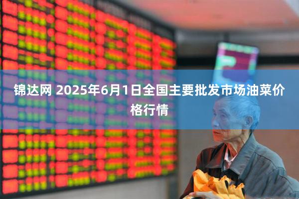锦达网 2025年6月1日全国主要批发市场油菜价格行情