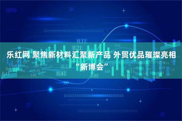 乐红网 聚焦新材料汇聚新产品 外贸优品璀璨亮相“新博会”