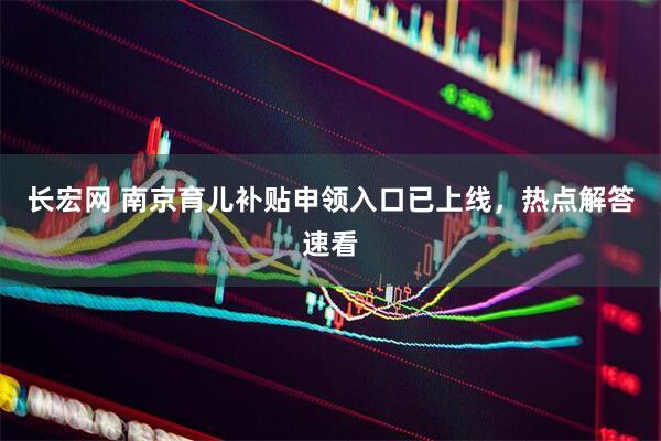 长宏网 南京育儿补贴申领入口已上线，热点解答速看