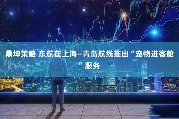 鼎坤策略 东航在上海—青岛航线推出“宠物进客舱”服务